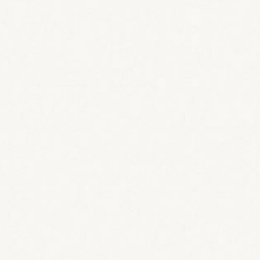 0101 Белый фасадный BS