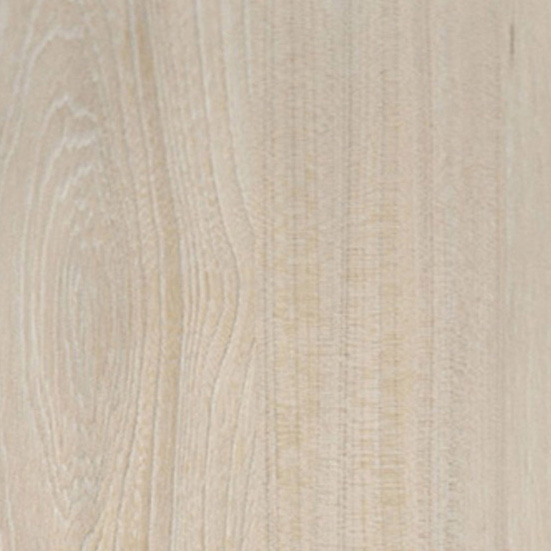 6596 Швейцарский вяз ВS