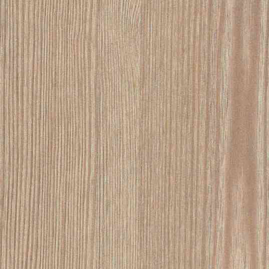 Дуб родос светлый