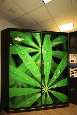 Шкаф-купе №58