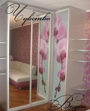 Шкаф-купе №19