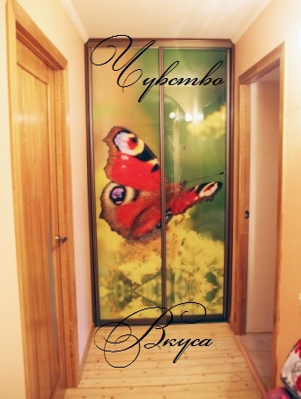 Шкаф-купе №108