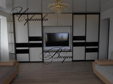 Шкаф-купе №31